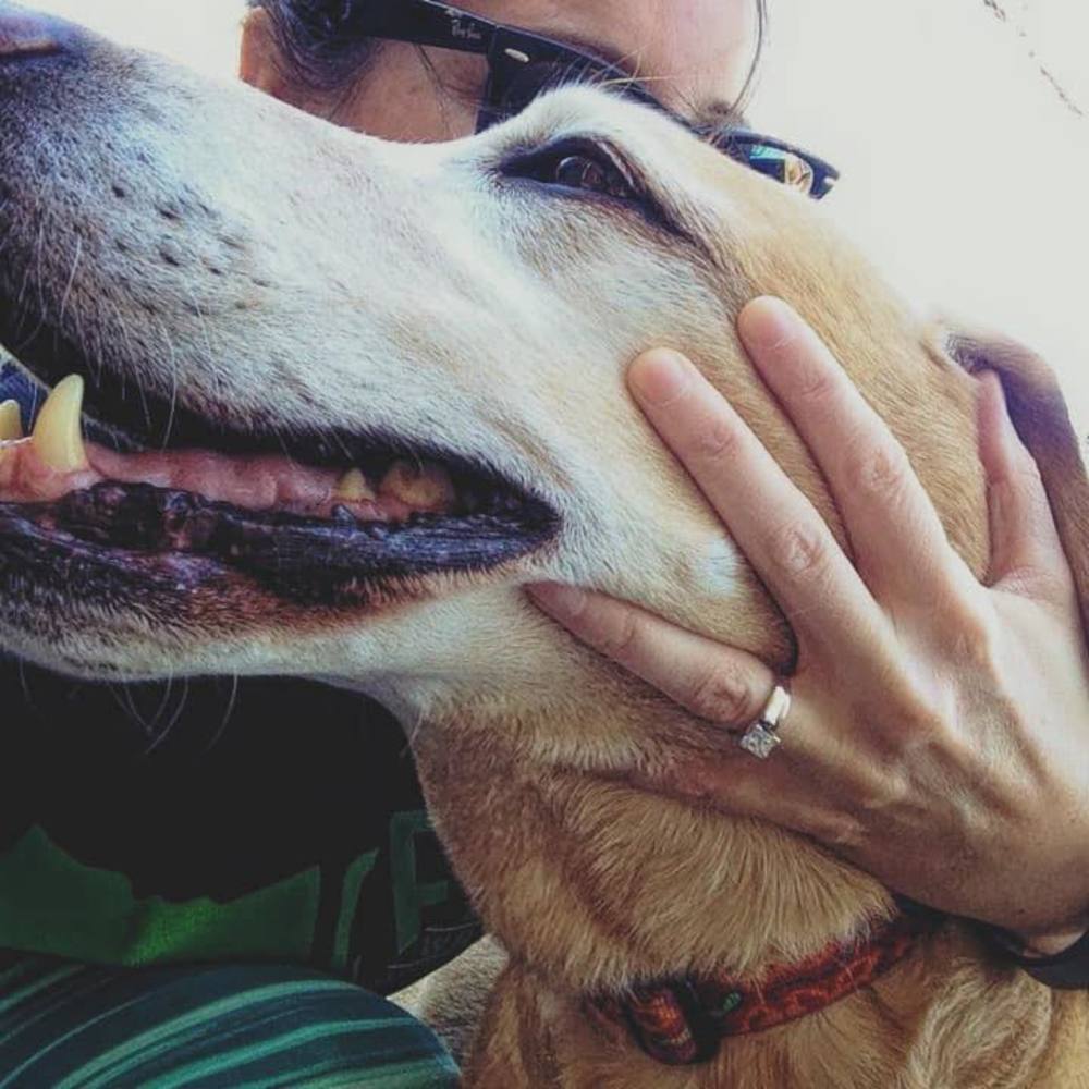 Meet your Posher, Kristin